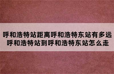 呼和浩特站距离呼和浩特东站有多远 呼和浩特站到呼和浩特东站怎么走